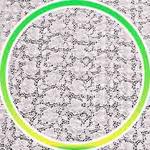 Dantel Raf Örtüleri